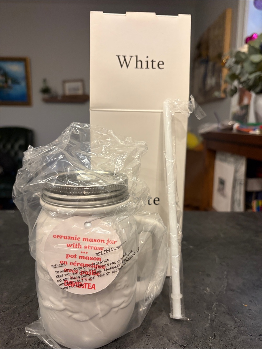 BNWT DavidsTea White Ceramic Mason Jar Mug with Lid & Straw